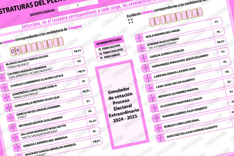 Ciudadano puede llegar con ‘guías’ para votar en elección judicial