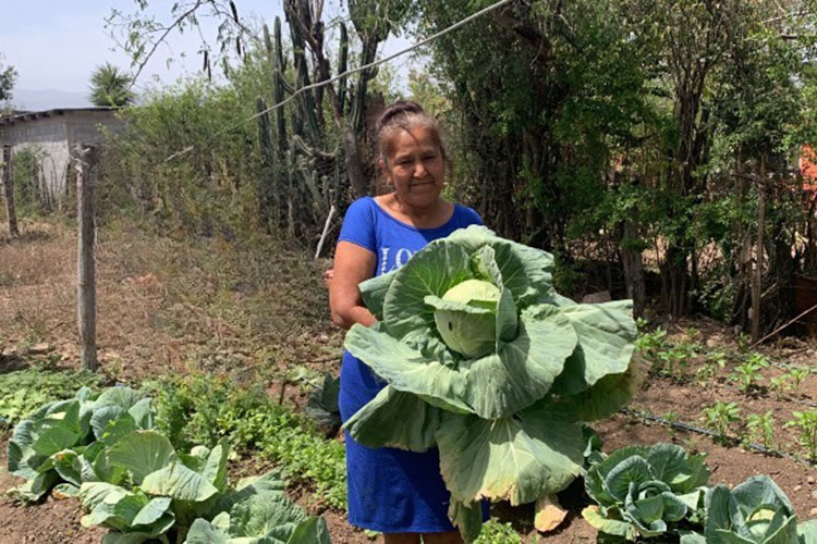 Autopista Mante-Ocampo-Tula; sinónimo de progreso y beneficios para Tamaulipas