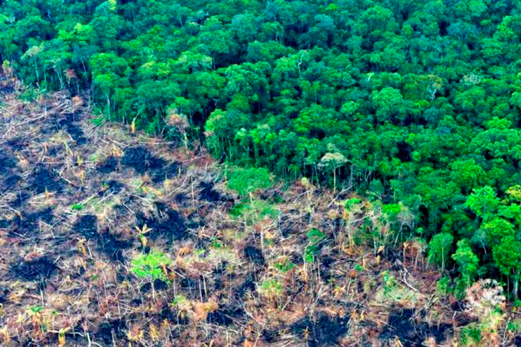La tarea del cuidado ambiental comienza en casa: Pepe Schekaiban