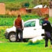 Deportaciones ponen en jaque a Texas y California