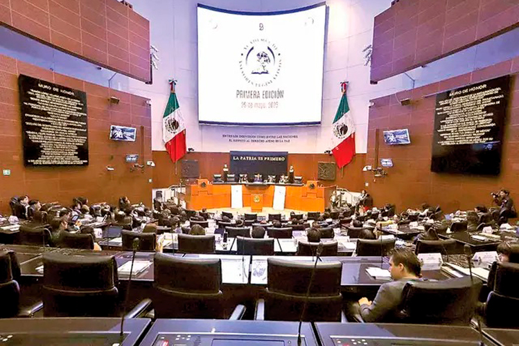 INE indaga 26 casos por violación a 8 de 8