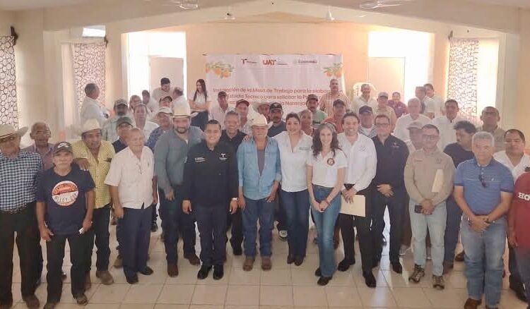 La Naranja Tamaulipeca: Un Tesoro que Busca Reconocimiento