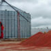 Crisis en el Sector Agrícola: 500 mil toneladas de Sorgo en bodegas