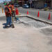 Inicia en Tamaulipas temporada de caza de paloma ala blanca