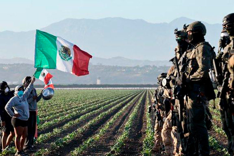 ICE intensifica redadas y usa fuerza contra migrantes