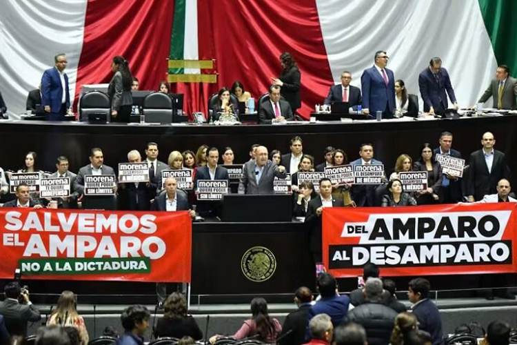 Ley de Amparo vulnera derechos ciudadanos, asegura Paloma