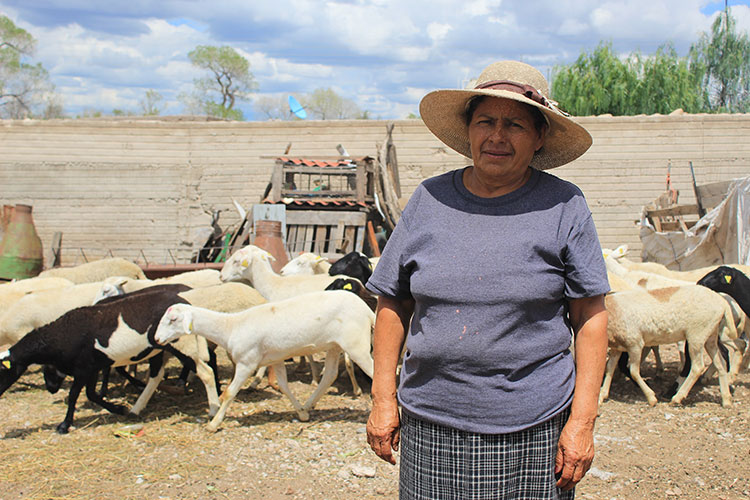 Mujeres rurales toman fuerza en el campo tamaulipeco