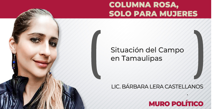 Situación del Campo en Tamaulipas