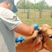 Tamaulipas acelera barrido contra tuberculosis; da subsidio