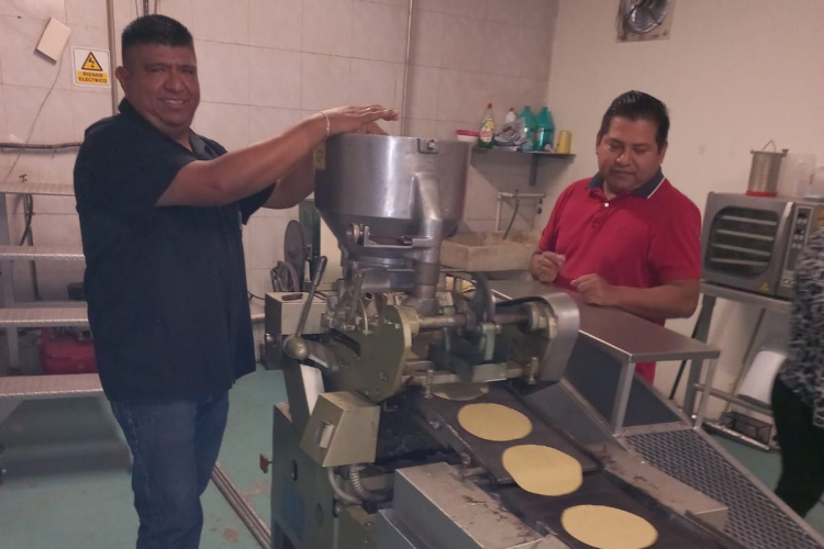 Avanza Tamaulipas en evaluación de procesos para producir harina de sorgo nixtamalizado