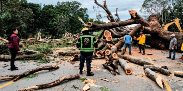 Coordina Patty Chío atención inmediata ante contingencia por fuertes vientos