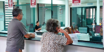 La magia te espera en el viveros mágico