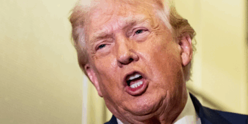 Trump: ahora iremos por tierra contra cárteles; controlan México