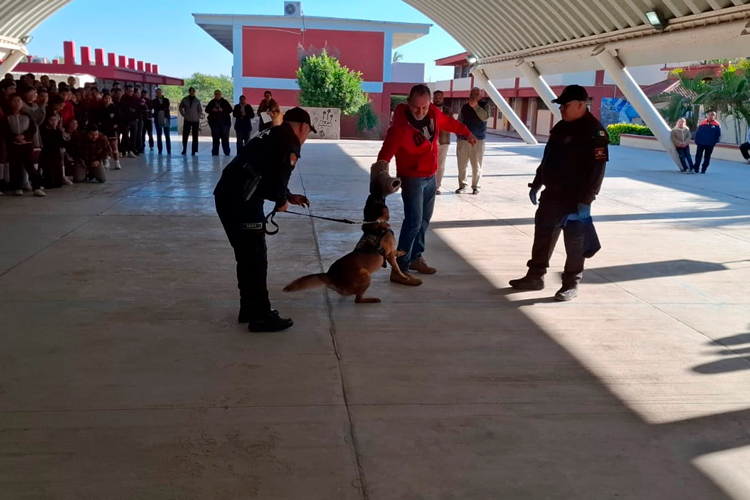 Aprueba Cabildo destinar inversión adicional al plan de obra pública en Victoria