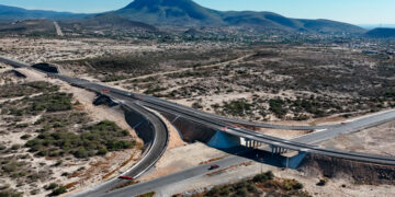 Elaboran alumnas de la UAT propuesta innovadora para manejo del ganado
