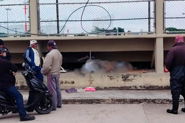 Tormenta invernal deja fallecido y sigue alerta por frío