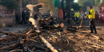 Sismo magnitud 6.5 despierta a la CDMX y Guerrero