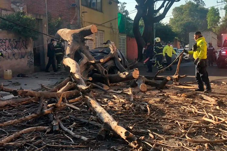 Sismo magnitud 6.5 despierta a la CDMX y Guerrero