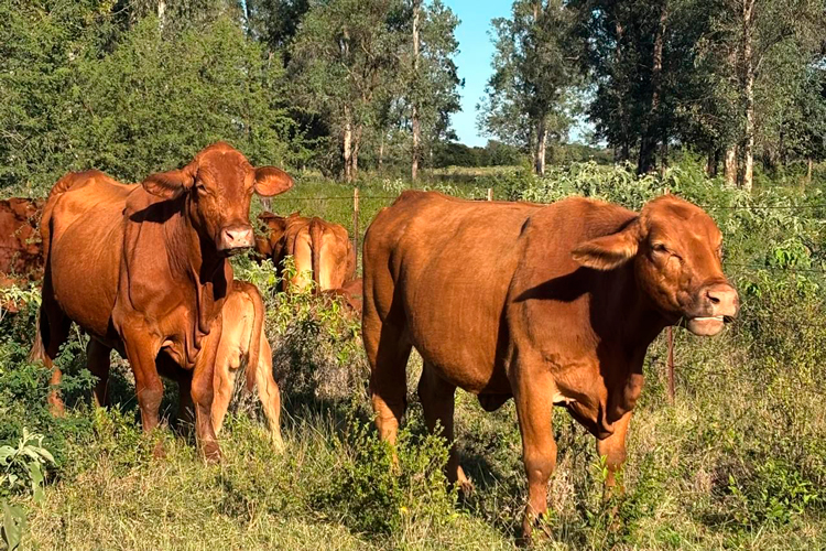 Fortalece SET cobertura educativa con histórica entrega plazas docentes
