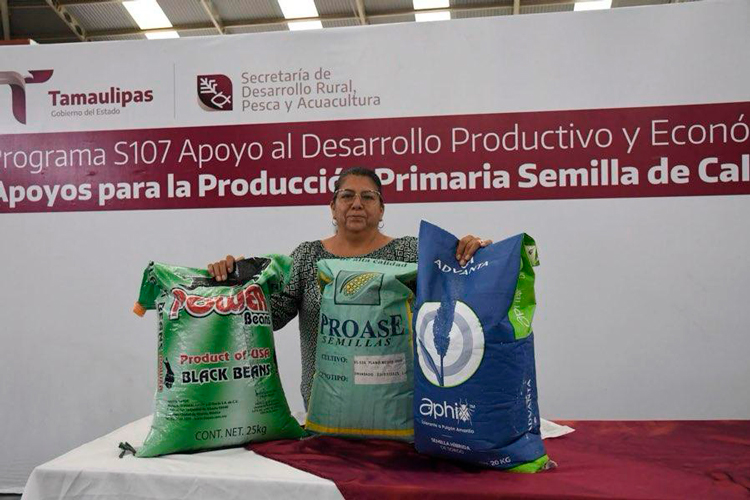 Productores podrán acceder a apoyos de semilla para cultivos estratégicos