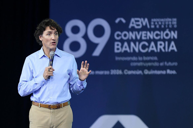 Borrador automático