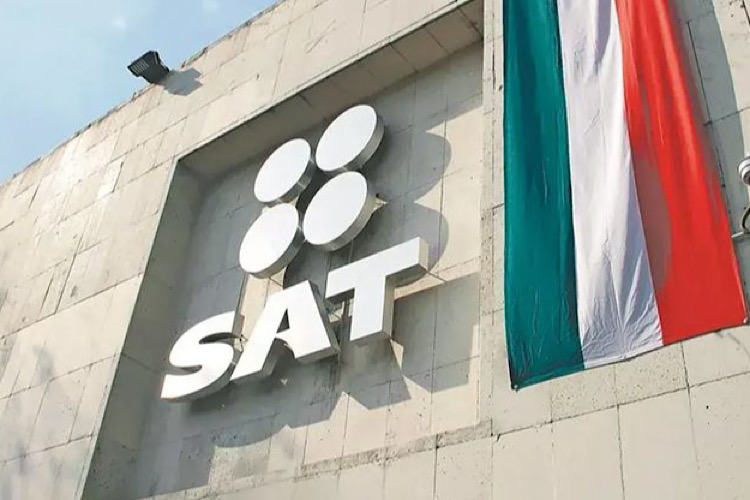 Borrador automático