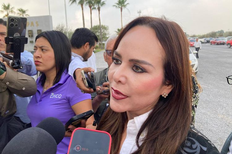 Brechas cortafuego frenan incendios en Tamaulipas