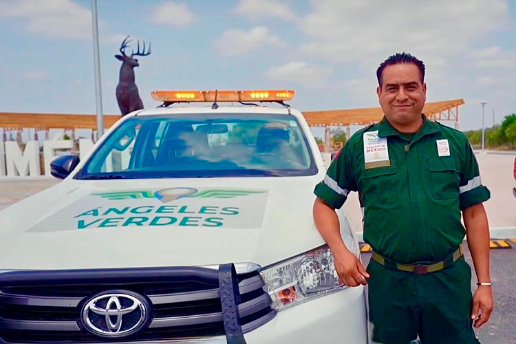 Reporta Gobierno de Tamaulipas descenso en casos activos de gusano barrenador