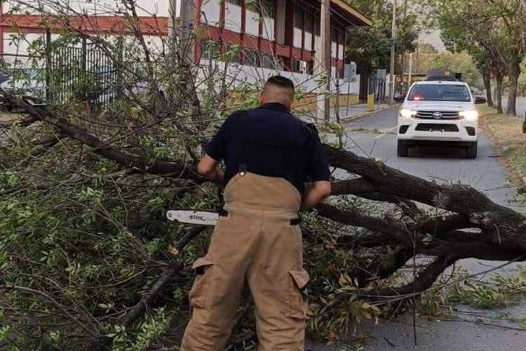 Activa Municipio operativo de limpieza y prevención por fuertes vientos en Victoria