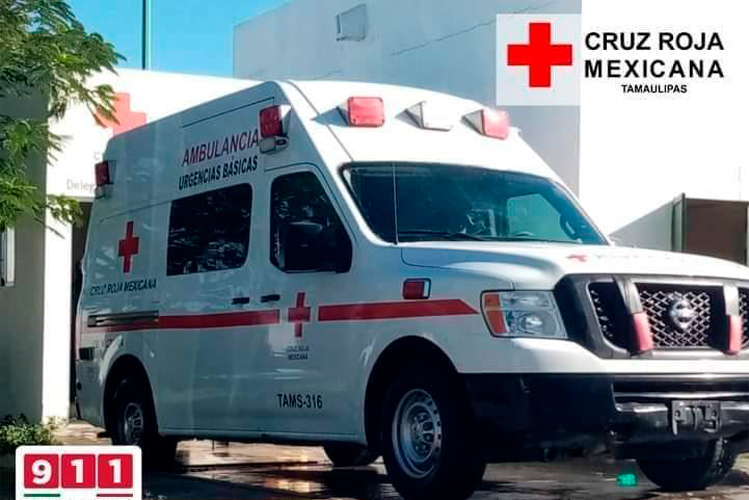 Confirma Sheinbaum consenso con partidos aliados para impulsar ‘Plan B’ electoral