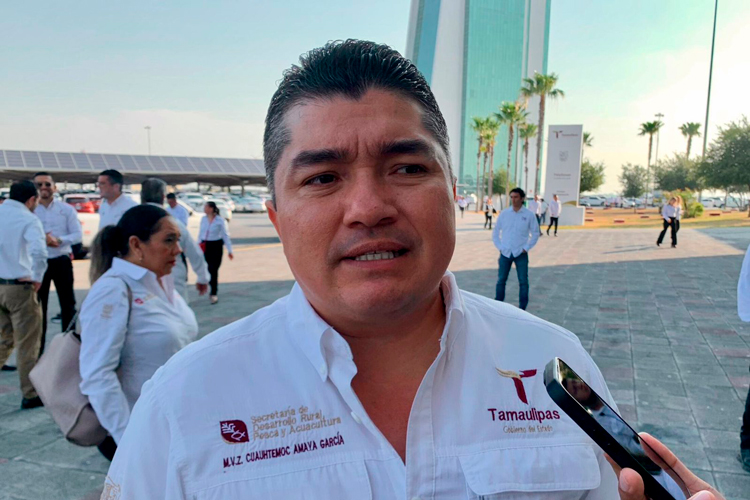 Ganadería resiste pese a escasa lluvia