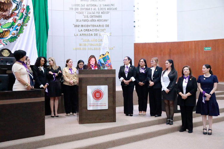Diputadas unidas, sin colores en el 8M