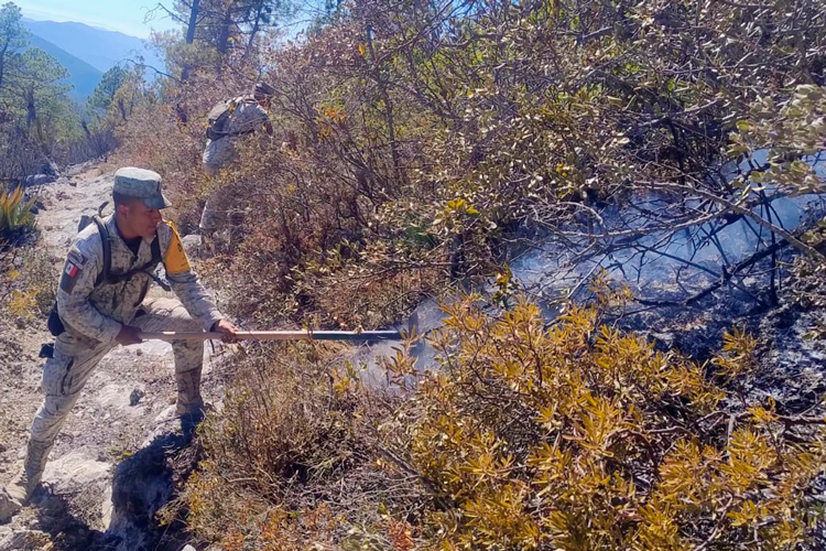 Avanza al 70 % el control del incendio forestal “Puerto del Volcán” en Miquihuana