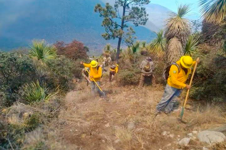 Incentiva INJUVE emprendimiento juvenil con “Mercado Tamaulipas” en Nuevo Laredo