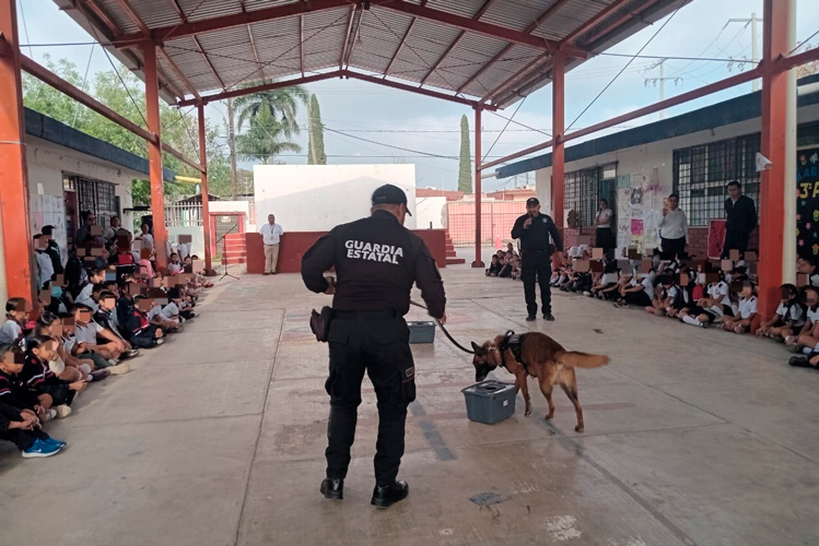Exigen al IMT acciones contra embarazo en adolescente