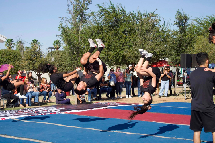 Impulsan evaluación reproductiva de sementales caprinos en Jaumave