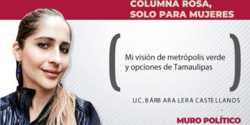 Mi visión de metrópolis verde y opciones de Tamaulipas