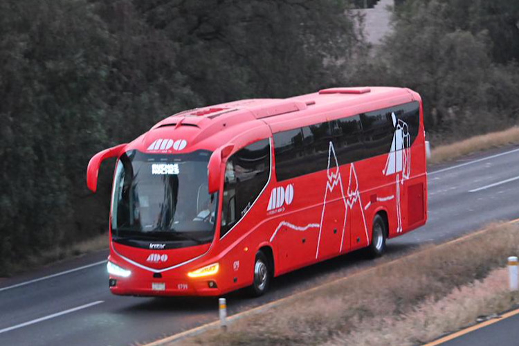 Prohíben a autobuses fungir como filtro migratorio
