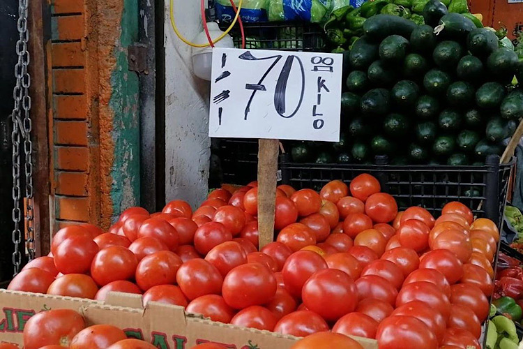 El rector Dámaso Anaya proyecta a la UAT como referente en Inteligencia Artificial en alianza con India