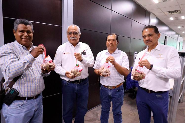 Mejora Gobierno de NLD vialidades en las colonias Palacios, Juárez y Fovissste