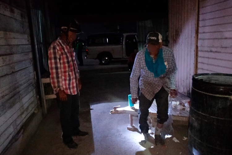 Reporta Patty Chío “saldo blanco” en Semana Santa