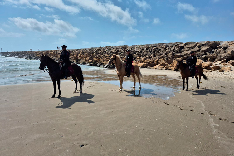 Plan B se votará tras Semana Santa: Narro