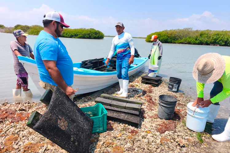 Verifica secretario general de Gobierno operatividad de Protección Civil Mante