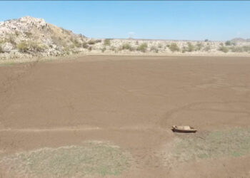 Ya hay nuevos consejeros del INE