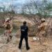 Harfuch y CIA desmienten operación secreta en México