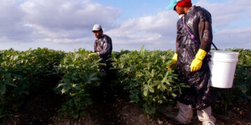 Migrantes mexicanos en EU constituyen la octava economía mundial