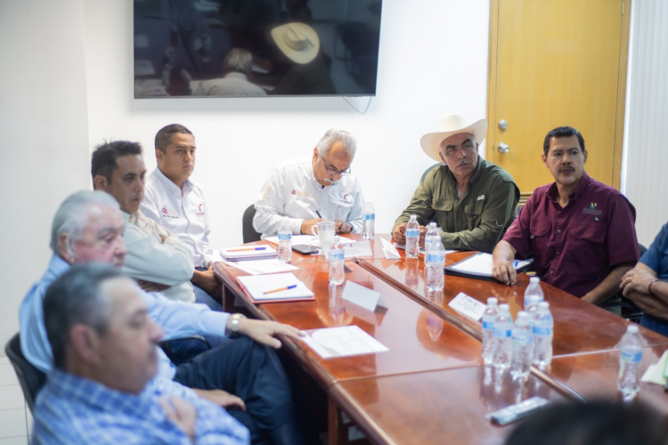 Fortalecen vigilancia fitosanitaria para contener el cancro de los cítricos