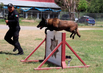 Binomios K-9 de la Guardia Estatal fortalecen la seguridad y la cercanía con la ciudadanía