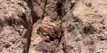 Entregan a México funcionario aduanal