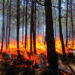 Persisten riesgos pese a reducción incendios: CONAFOR